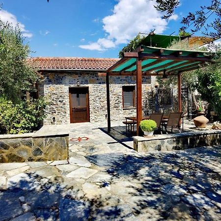Elaion Thea-Nies Villa Sourpi Dış mekan fotoğraf