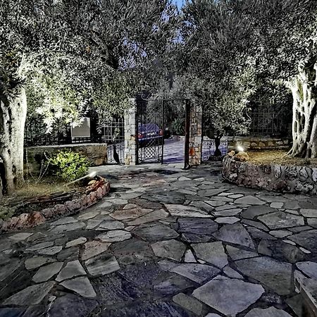 Elaion Thea-Nies Villa Sourpi Dış mekan fotoğraf