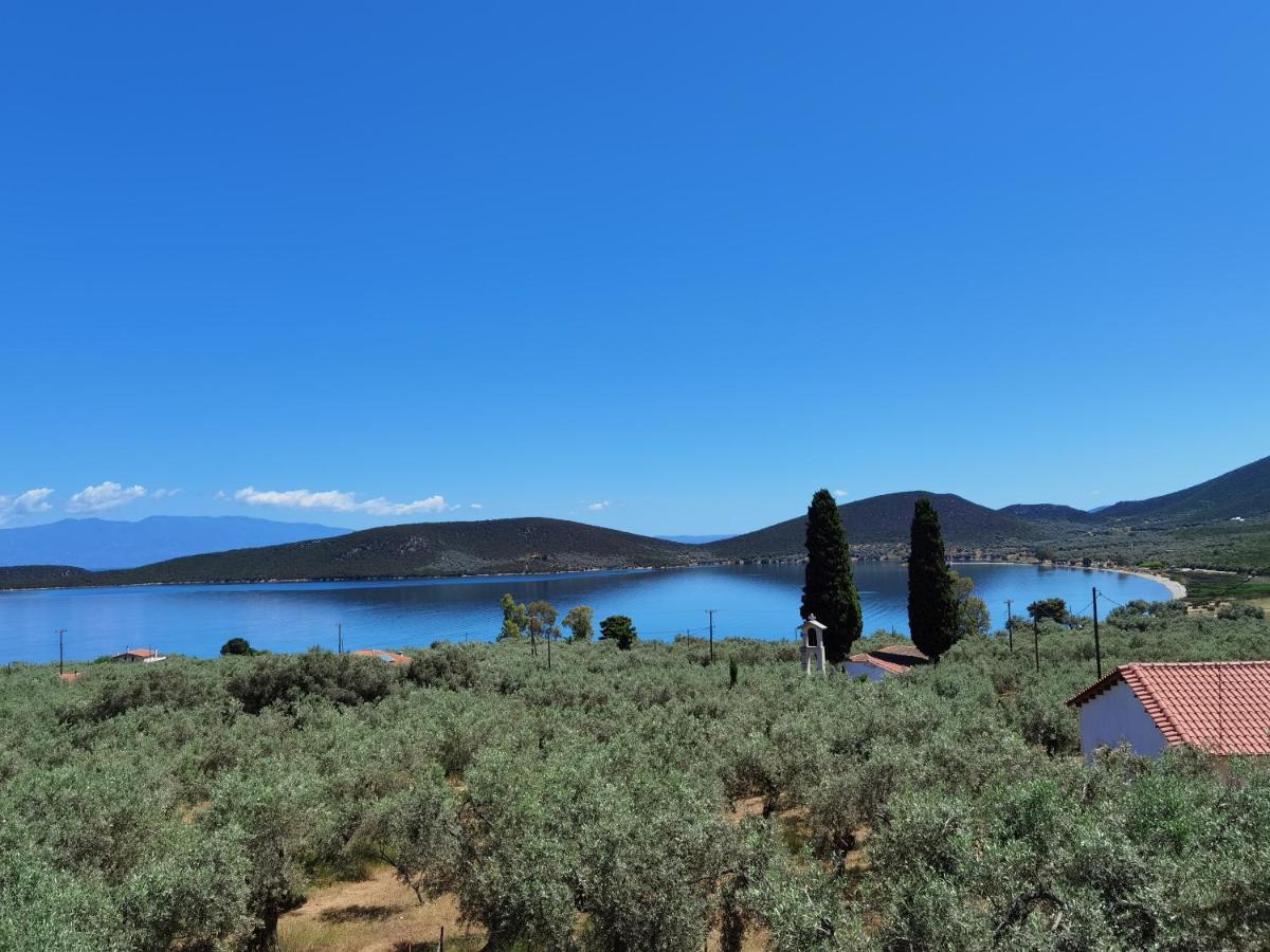 Elaion Thea-Nies Villa Sourpi Dış mekan fotoğraf