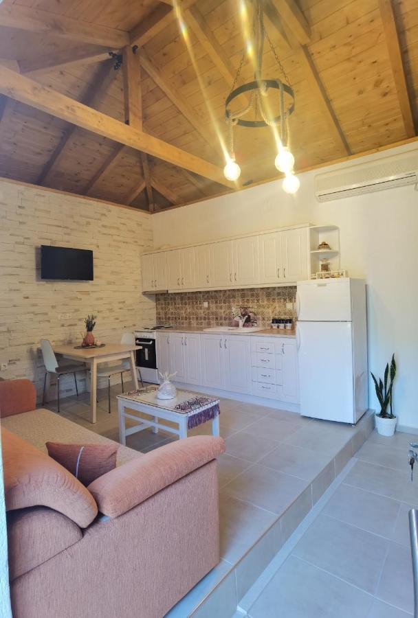Elaion Thea-Nies Villa Sourpi Dış mekan fotoğraf