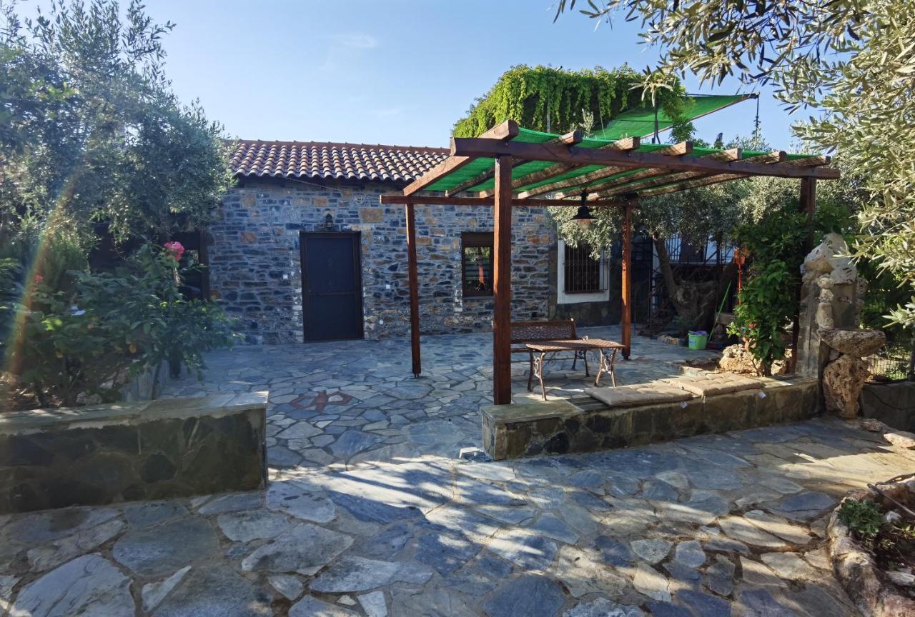 Elaion Thea-Nies Villa Sourpi Dış mekan fotoğraf