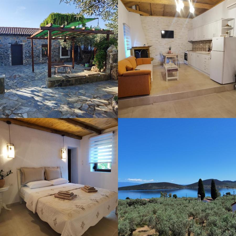 Elaion Thea-Nies Villa Sourpi Dış mekan fotoğraf