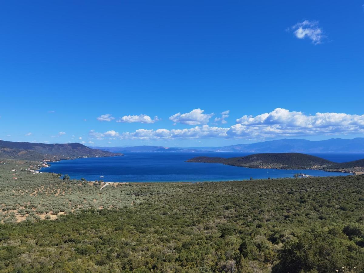 Elaion Thea-Nies Villa Sourpi Dış mekan fotoğraf