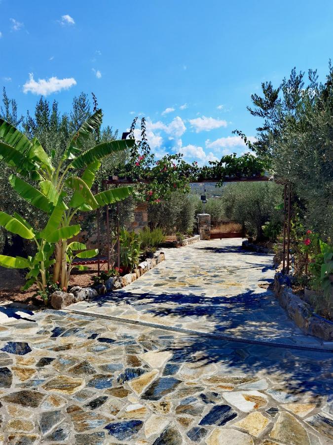 Elaion Thea-Nies Villa Sourpi Dış mekan fotoğraf