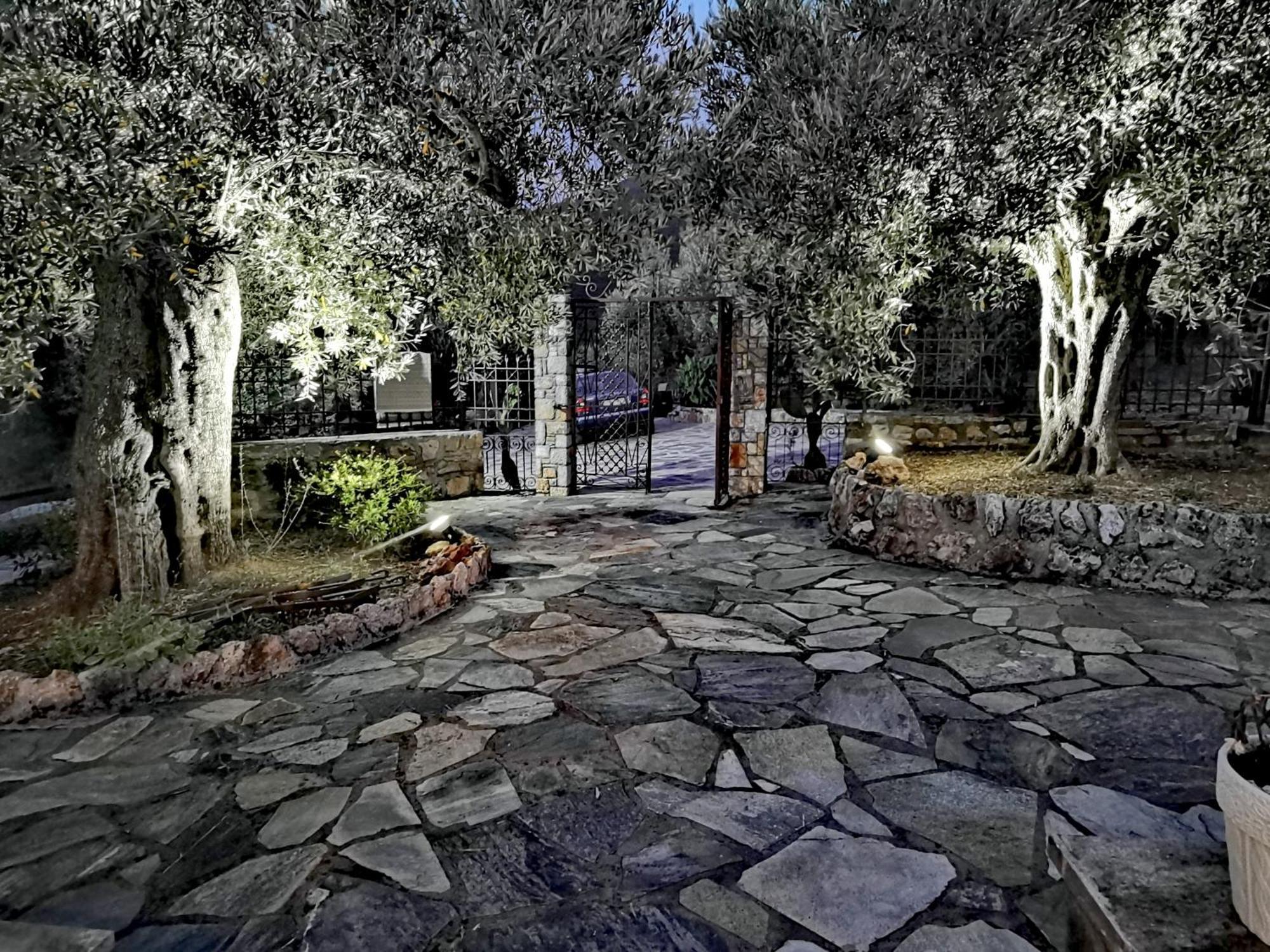Elaion Thea-Nies Villa Sourpi Dış mekan fotoğraf